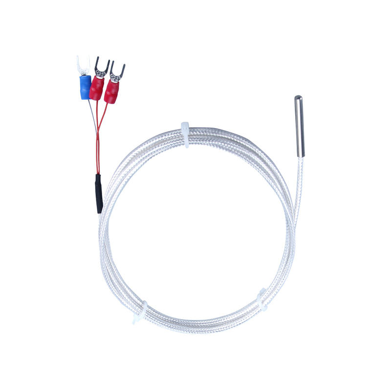 WZP-035 PT100 Probe 5 × 35mm Cábla 1-20m Teirmiméadar Friotaíocht Platanam RTD Braiteoir Teochta Frith-chreimeadh Uiscedhíonach