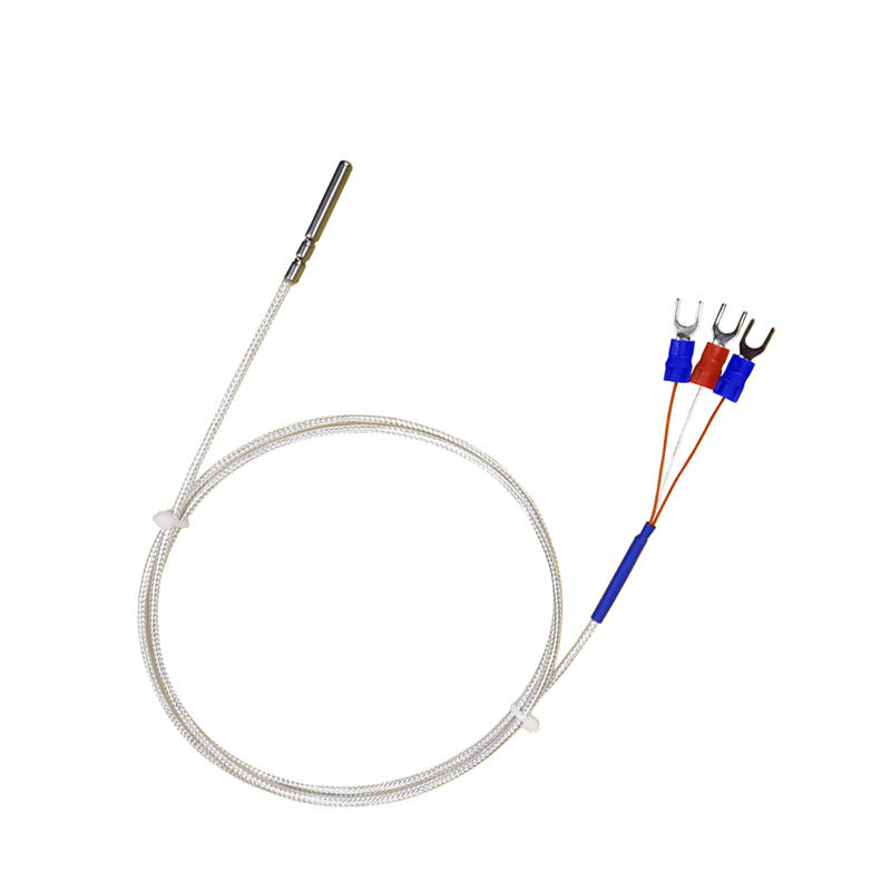 WZP-035 PT100 Probe 5 × 35mm Cábla 1-20m Teirmiméadar Friotaíocht Platanam RTD Braiteoir Teochta Frith-chreimeadh Uiscedhíonach